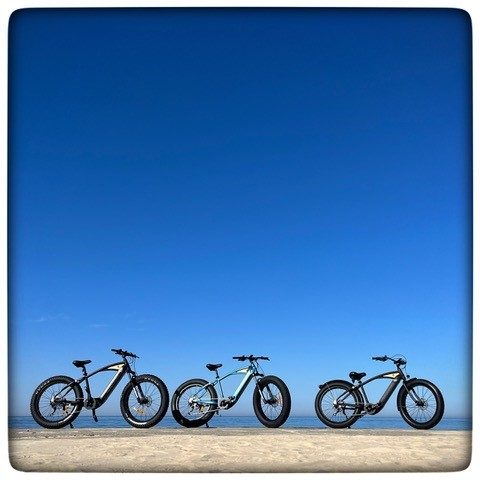 Entrepreneur de toujours, découvrez le témoignage de Bertrand Moulia, dirigeant de l'entreprise de Fatbikes : Woodee Bikes 4 Califorland 6